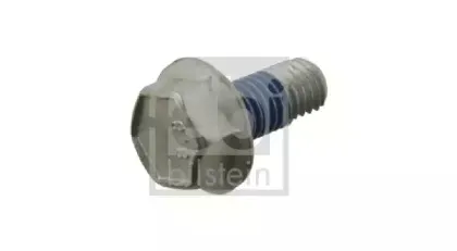 febibilstein-29507