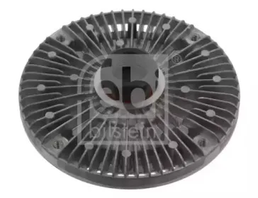 febibilstein-29613