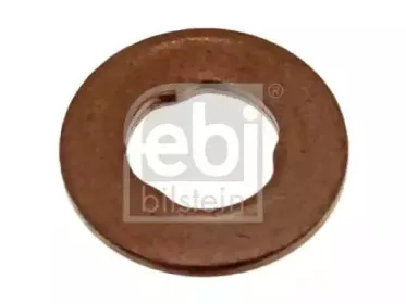 febibilstein-29700