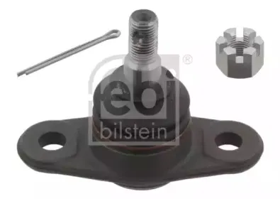 febibilstein-29704