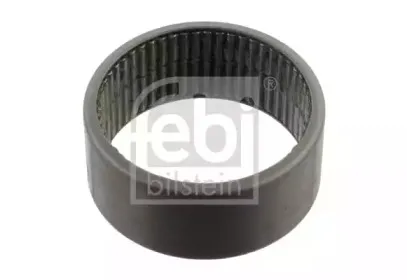 febibilstein-29722
