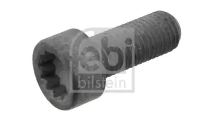 febibilstein-29773