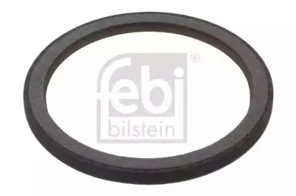 febibilstein-29875