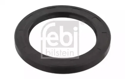 febibilstein-29876