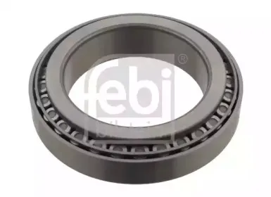 febibilstein-29933