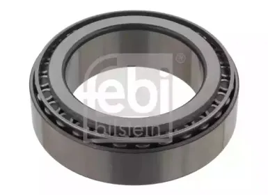 febibilstein-30003