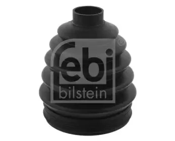 febibilstein-30023