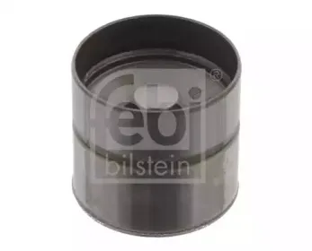febibilstein-30031