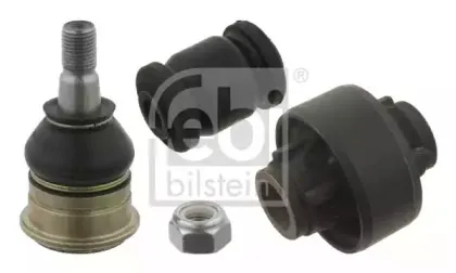 febibilstein-30036