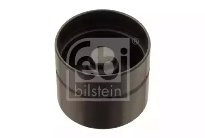 febibilstein-30135