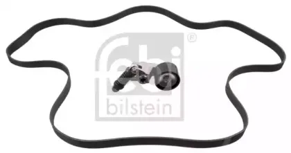 febibilstein-30211