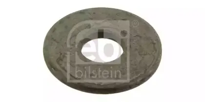 febibilstein-30463