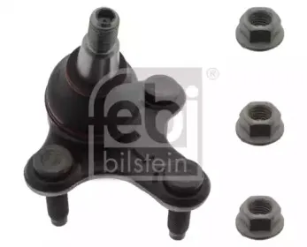 febibilstein-30509