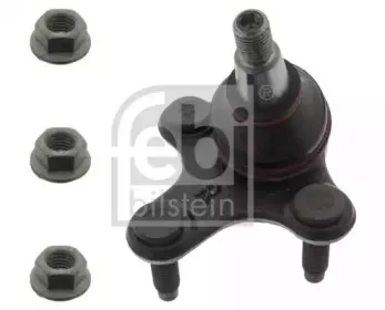 febibilstein-30510