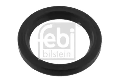 febibilstein-30572