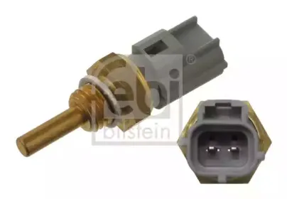 febibilstein-30673