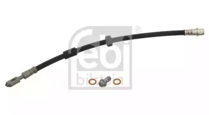 febibilstein-30874