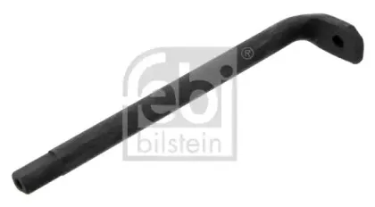 febibilstein-30918
