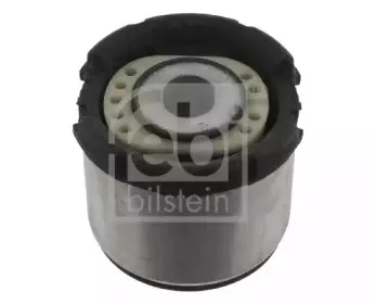 febibilstein-30974