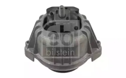 febibilstein-31014