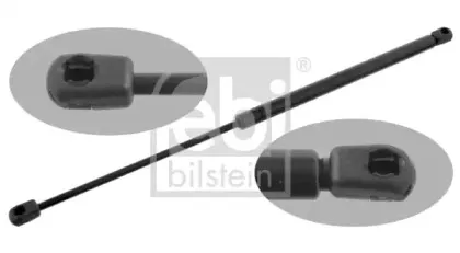 febibilstein-31029