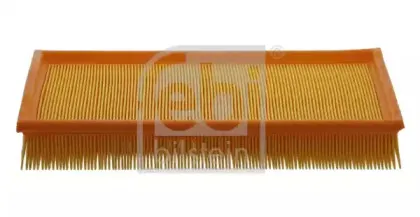 febibilstein-31175