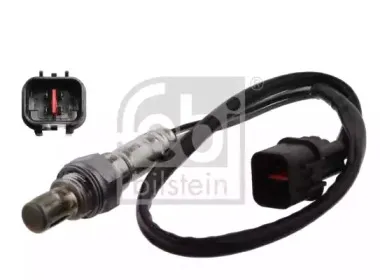 febibilstein-31220