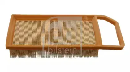 febibilstein-31261