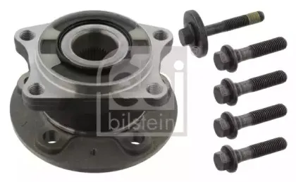 febibilstein-31371