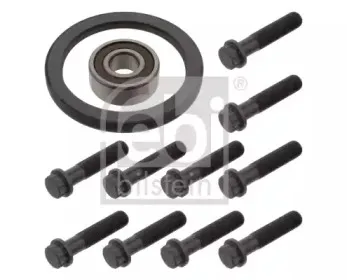 febibilstein-31384