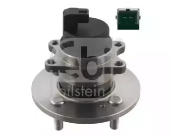febibilstein-31403