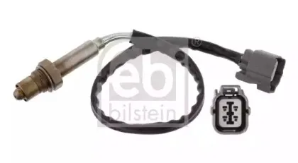 febibilstein-31418