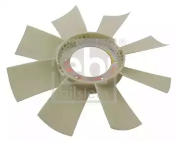 febibilstein-31462