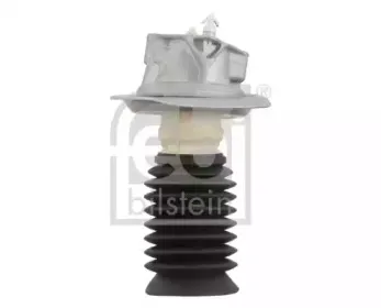 febibilstein-31463