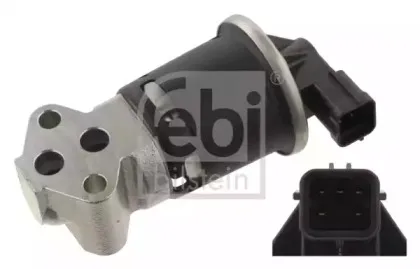 febibilstein-31771