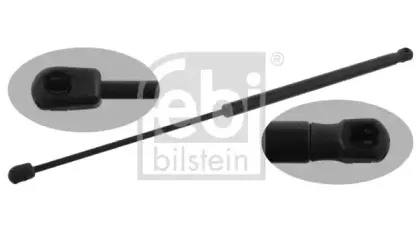 febibilstein-31947