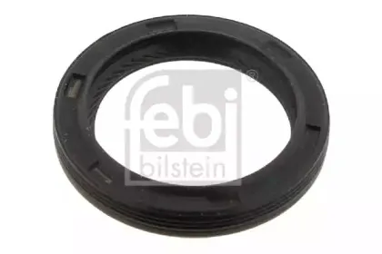 febibilstein-32257