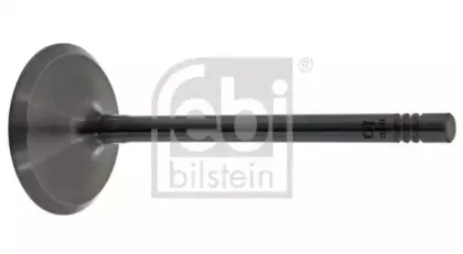 febibilstein-32332