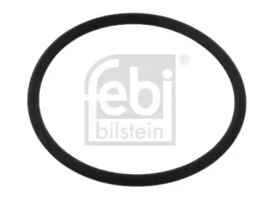 febibilstein-32434