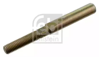 febibilstein-32435