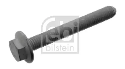 febibilstein-32561