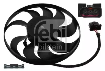 febibilstein-32630