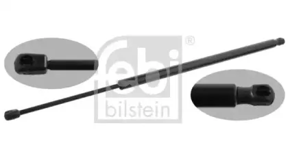 febibilstein-32897