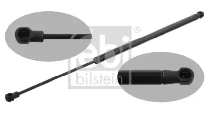 febibilstein-32898