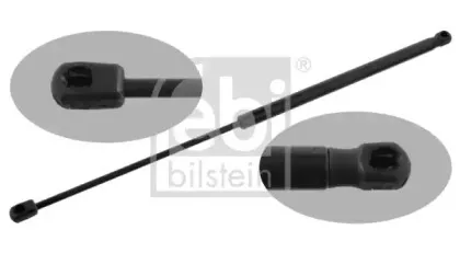 febibilstein-33059