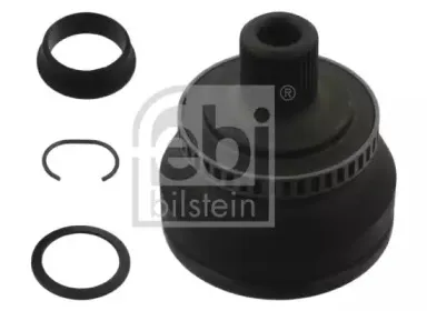 febibilstein-33225