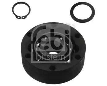 febibilstein-33229