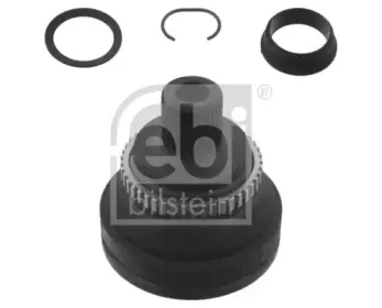 febibilstein-33239