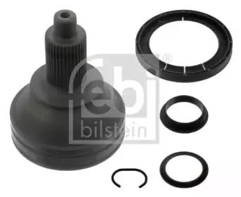 febibilstein-33243