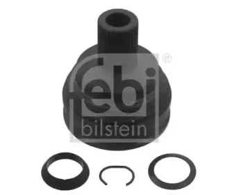 febibilstein-33259
